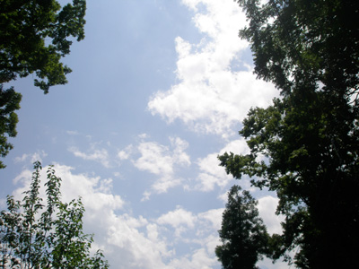 f0178726_9301651.jpg