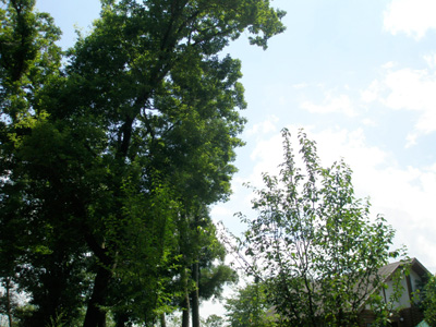 f0178726_9303969.jpg