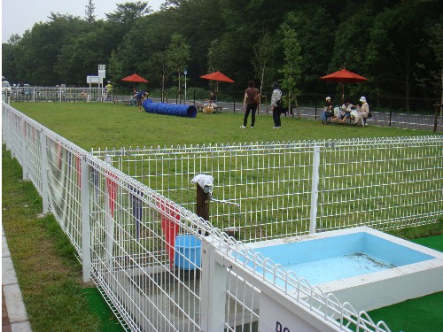 a0074033_217204.jpg