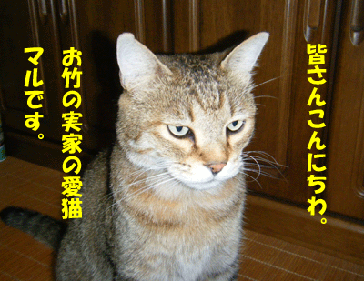 f0008935_1541472.gif
