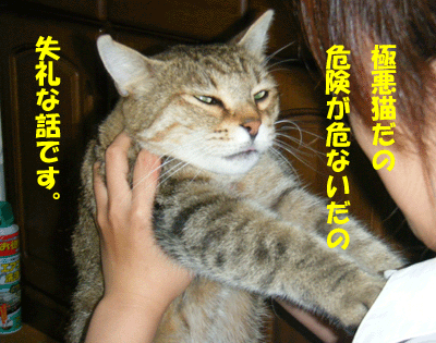 f0008935_15415885.gif