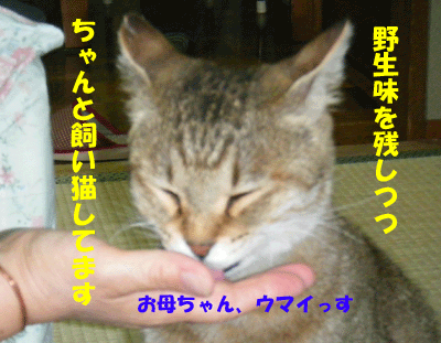 f0008935_15421687.gif