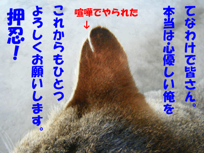 f0008935_15422516.gif