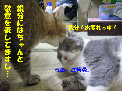 f0008935_1542619.gif