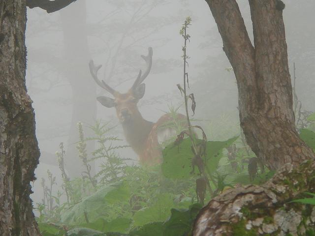 a0048040_17482844.jpg
