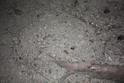c0073649_23766.jpg
