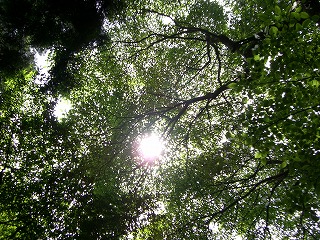 b0148050_2152766.jpg