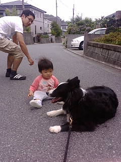 2008年7月20 日道端で…_f0041751_15185044.jpg