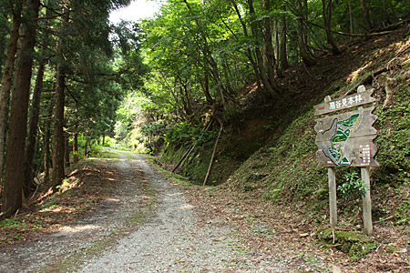 由良川源流遡行～岩谷から中山まで～_e0113053_0134034.jpg