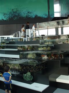 天空の水族館・スカイアクアリウム_d0082655_15442389.jpg