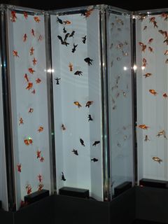 天空の水族館・スカイアクアリウム_d0082655_15461842.jpg
