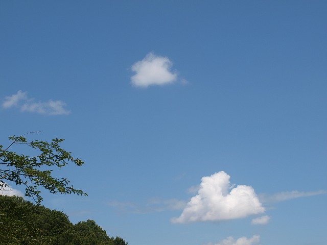 b0135573_18452818.jpg