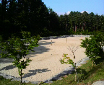 c0147874_16503282.jpg