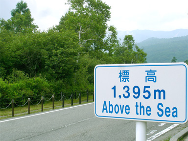 お出かけですか？_c0024176_15502740.jpg