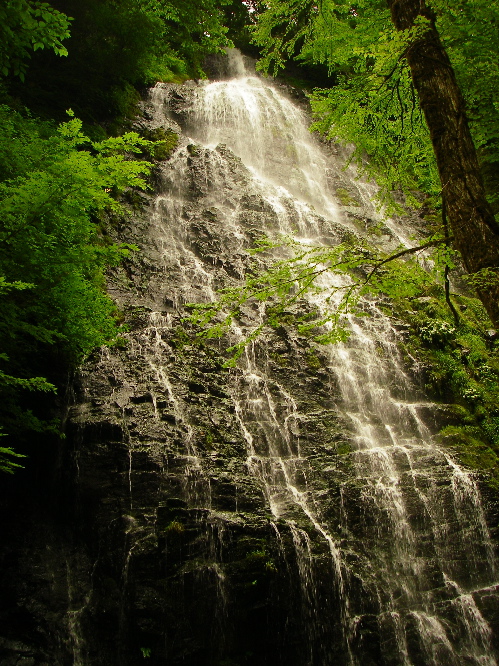 北陸釣行二日目（いつもの川黒いイワナ）_a0089288_19291922.jpg