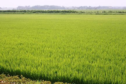 b0107691_12521330.jpg
