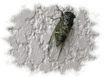 f0059491_19425748.gif