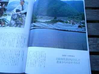 天然生活_d0087595_10252477.jpg