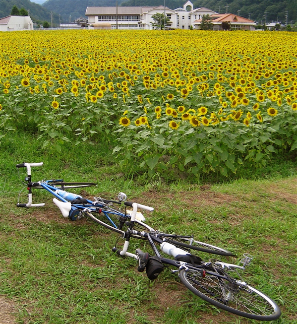 早めの夏休み、千種川を溯って、吉井川を下る。　01_c0015099_18374656.jpg