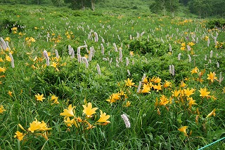 野反湖 八間山を歩いた_c0124100_163785.jpg