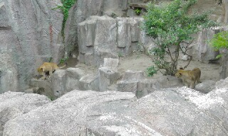 e0051200_6204844.jpg
