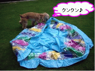 c0128303_0221259.gif