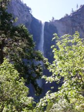 Yosemite National Park ヨセミテ国立公園_c0097611_11492642.jpg