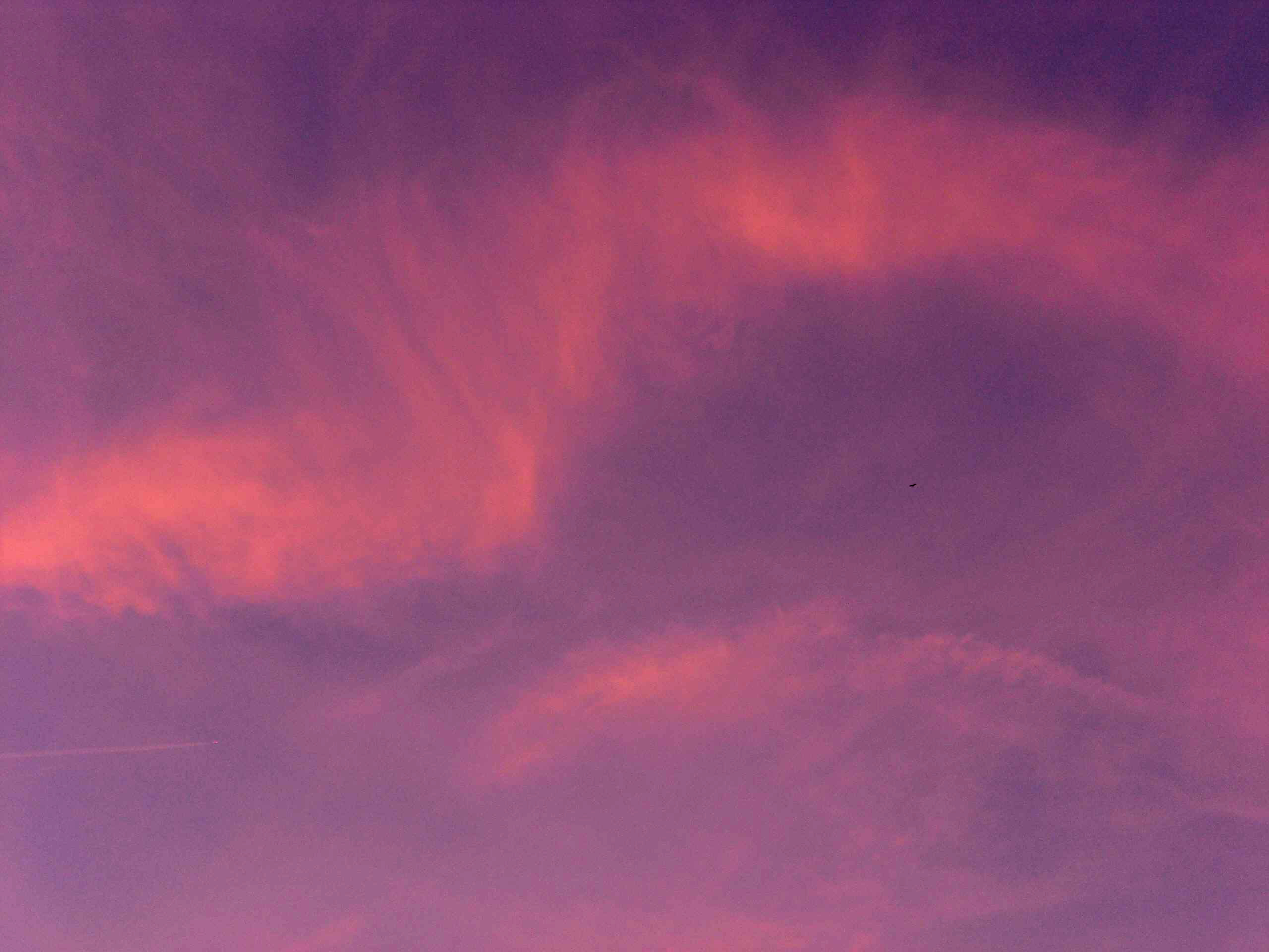 b0130112_74132.jpg