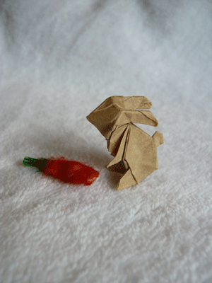 c0022913_11215322.gif