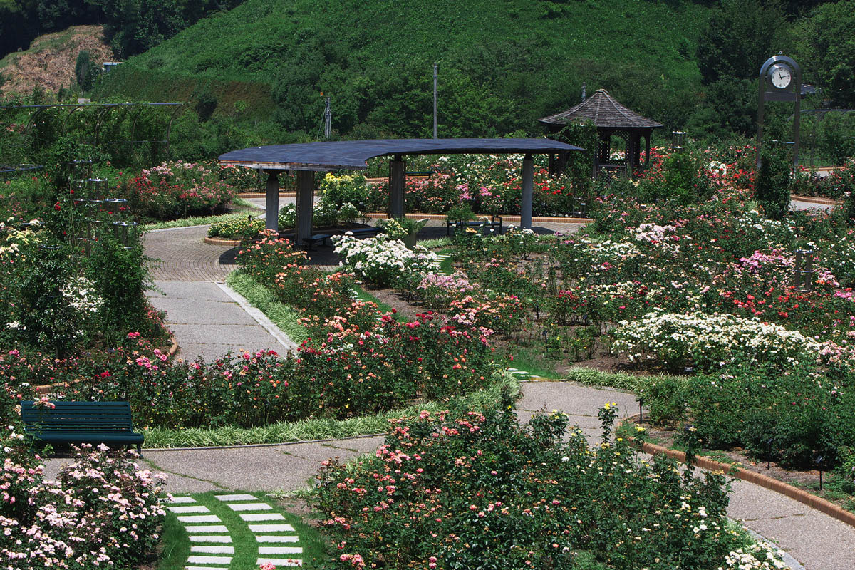 c0115616_613792.jpg