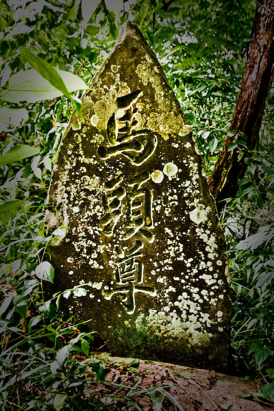 お散歩会@八高線〜行けども行けども寄居に着かない・・・_f0077521_21204951.jpg