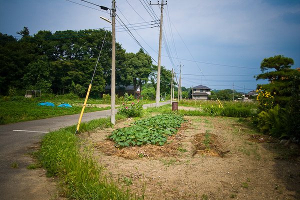 お散歩会＠八高線〜行けども行けども寄居に着かない・・・_f0077521_21371927.jpg