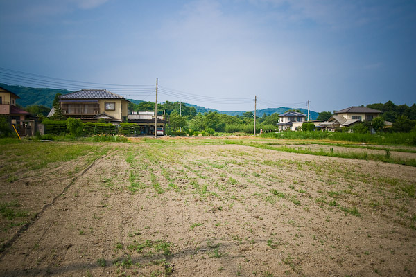 お散歩会＠八高線〜行けども行けども寄居に着かない・・・_f0077521_21505865.jpg