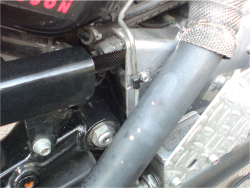 c0006028_7475464.gif