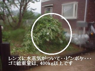 f0031037_1810712.jpg