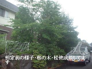 f0031037_1844371.jpg