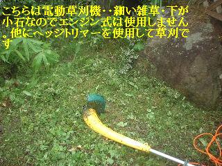 f0031037_1845630.jpg