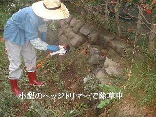 f0031037_1852026.jpg