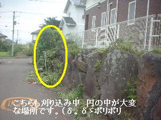f0031037_189198.jpg