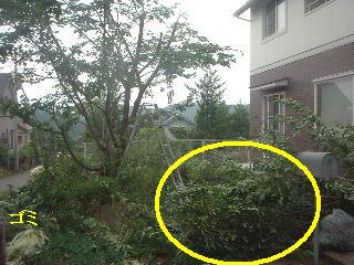 f0031037_1894466.jpg