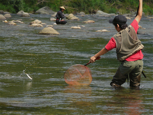 a0056140_11531148.gif