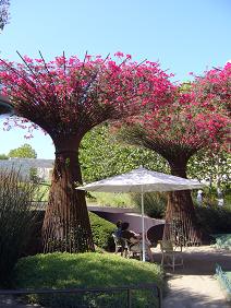 f0041447_25426.jpg