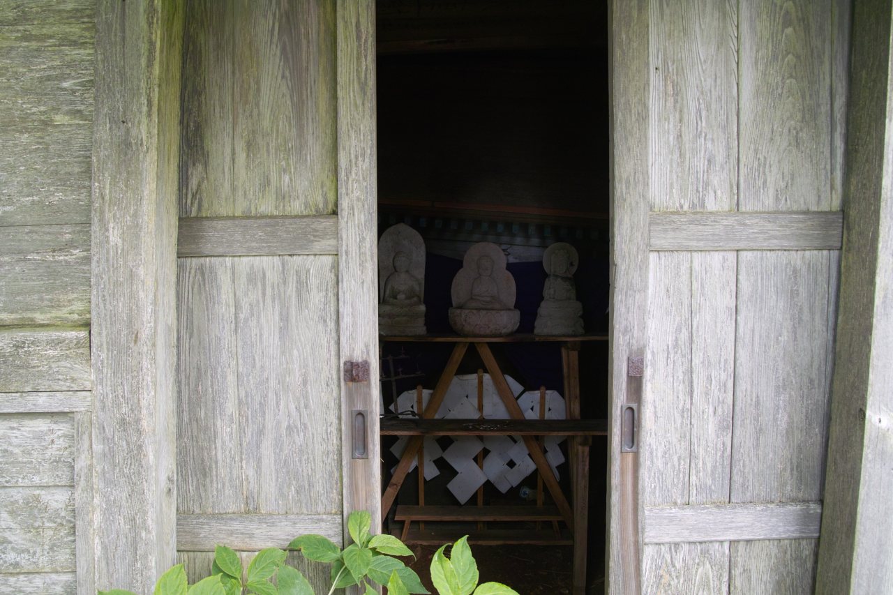 c0008948_64719.jpg