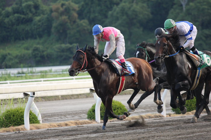 赤岡修次騎手、通算勝利1200勝達成～_a0077663_19264942.jpg