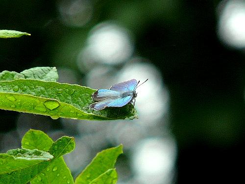 d0084473_2051302.jpg