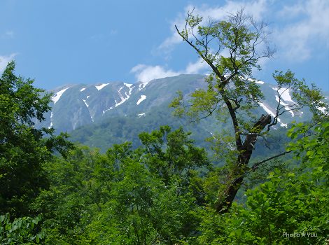 b0078874_1624177.jpg