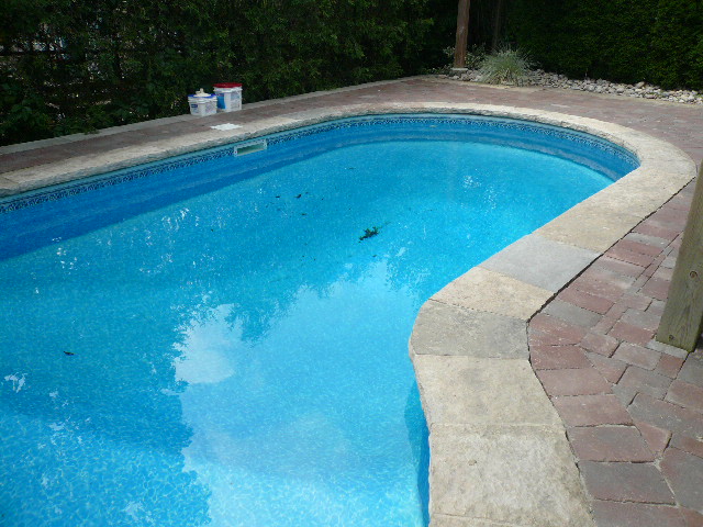 a0100975_523093.jpg