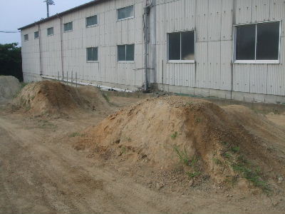 e0055880_11236.jpg