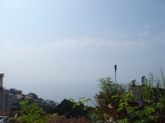2008年7月21日 ご無沙汰で!梅雨明けしたし! _b0098584_23252780.jpg