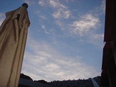2008年7月21日 ご無沙汰で!梅雨明けしたし! _b0098584_23302759.jpg